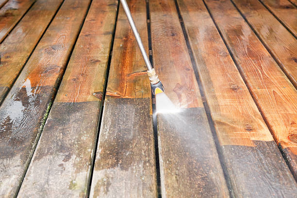 Best Fence Pressure Washing  in Lemon Grove, CA